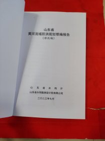 山东省黄河流域防洪规划修编报告