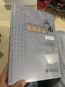 河南调查年鉴2020