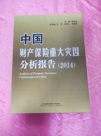 中国财产保险重大灾因分析报告（2014）