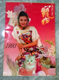 1993宠物美女挂历