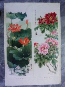 花卉条屏两条屏年画(2)