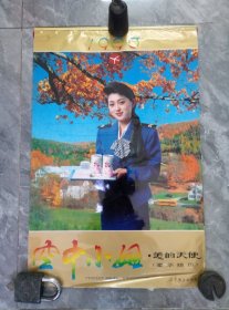 1993空中小姐美女挂历