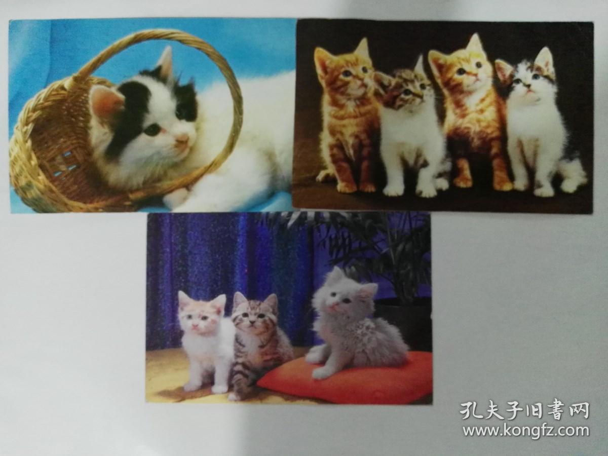 80年代可爱的小猫，四只小花猫，三只小猫实寄明信片三枚