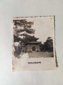 50年代沈阳.北陵明楼老照片一张