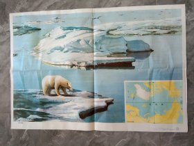 80年代地理挂图-北冰洋景象。