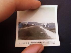 50年代北京十三陵石兽风景老照片