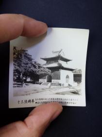 50年代北京十三陵碑亭风景老照片