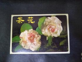 1987年茶花（明信片）
