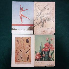 50年代体操、单杠、花卉明信片四张15元