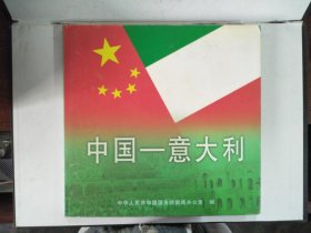 2004年中国-意大利