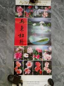 丹东杜鹃花挂历