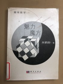 趣味数学丛书：魅力魔方