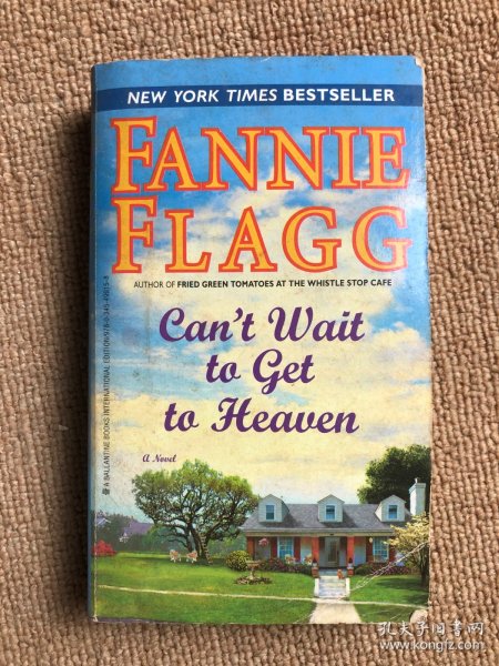 Can't Wait to Get to Heaven: A Novel