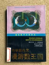 数学旅行家：漫游数王国（开创新世纪的数学文化 陈省身）