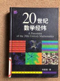 20世纪数学经纬 精装