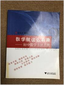 数学就这么有趣：初中数学方法点拨