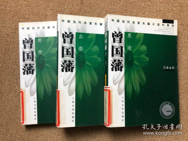 曾国藩(共三册)：血祭、野焚、黑雨