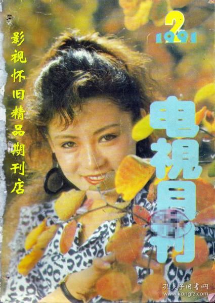 电视月刊 1991年2期  寇世勋米雪温碧霞王伯昭 经典剧《渴望》群星