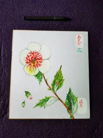 日本色纸卡纸画，一朵盛开的花朵。