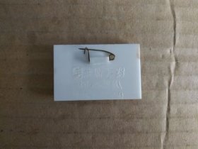 毛主席像章【毛主席像彩色宣传画像章】（背面刻“毛主席万岁”口号和8165部队、1968.11.24字样）