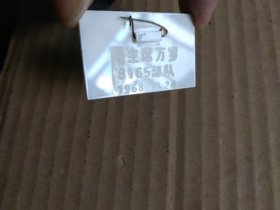 毛主席像章【毛主席像彩色宣传画像章】（背面刻“毛主席万岁”口号和8165部队、1968.11.24字样）