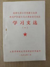 高举毛泽东思想伟大红旗 学习文选