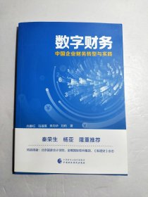 数字财务 中国企业财务转型与实践