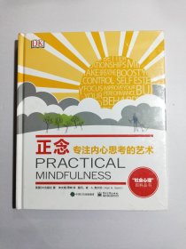 正念：专注内心思考的艺术【全新未拆封】