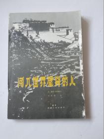 闯入世界屋脊的人