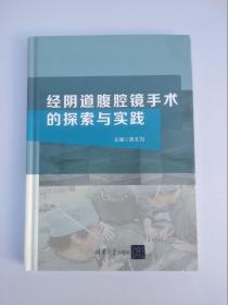 经阴道腹腔镜手术的探索与实践