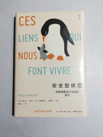 知心书第五辑：安全型依恋+恰到好处的界限+被傲慢绑架+允许自己不快乐+被虚构的焦虑【全新未拆封】