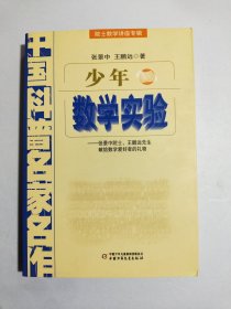 中国科普名家名作 院士数学讲座专辑-少年数学实验