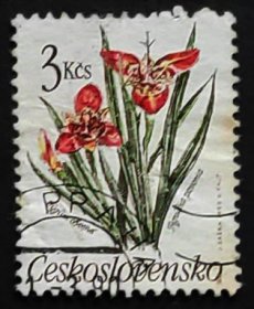 捷克邮票---植物 / 布拉迪斯拉法交响乐队成立50周年（盖销票）