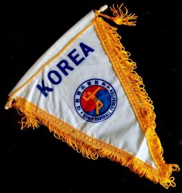 其它收藏品------韩国国家手球队队旗