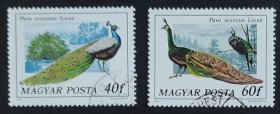 匈牙利邮票-----雉类（盖销票）