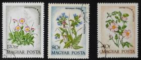 匈牙利邮票----本国花卉（盖销票）