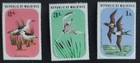 马尔代夫邮票-----自然保护  鸟类