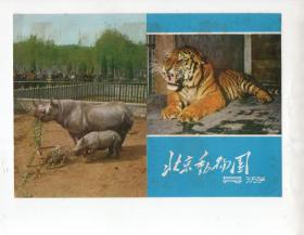 《北京動物園 导游》