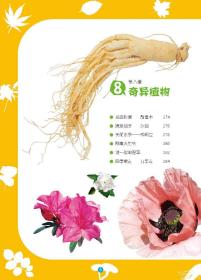 常春藤：动物植物大百科（精致图文版）