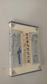 在文学与文化之间:漫游：逝去的古典文学星空