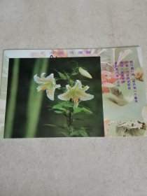 中国人民邮政明信片1张 花朦胧月朦胧