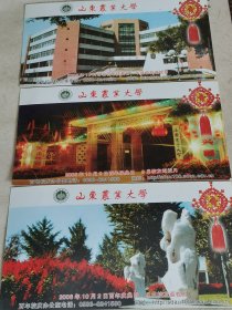 2006中国邮政贺年有奖明信片3张