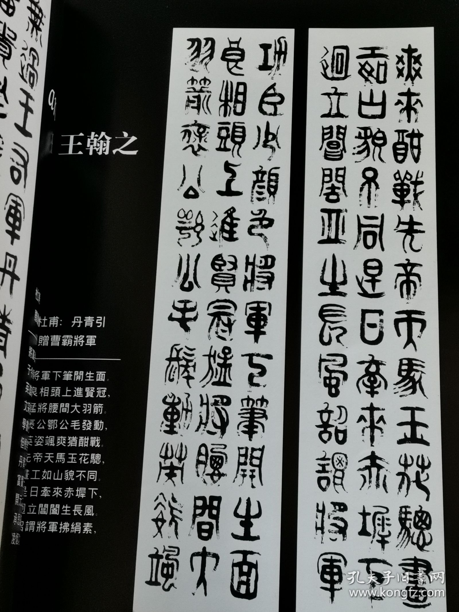 东方之子 著名书画家王翰之作品集