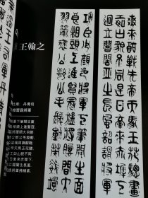 东方之子 著名书画家王翰之作品集
