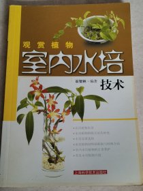 观赏植物室内水培技术