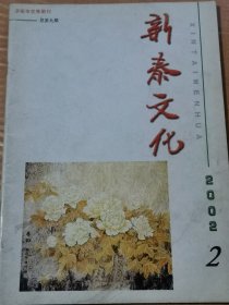 新泰文化2002年2