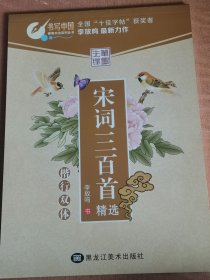 宋词三百首精选楷行双体 先锋笔墨