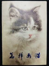 怎样画猫