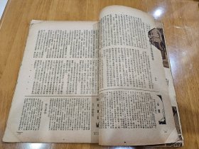 新生周刊 第一卷第十三期〔民国23年：书品请看图〕