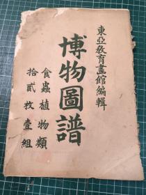 博物图谱 食虫植物类【全十二枚、东亚教育画馆编辑、明治38年道林纸珂罗版精印初版】